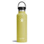 Hydration 21oz Standard - Hydroflask210000086739