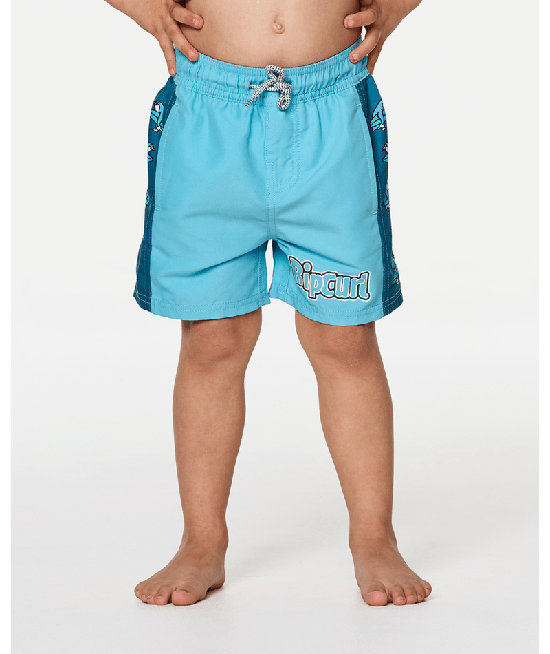 PADDLE OUT PANEL VOLLEY-BOY