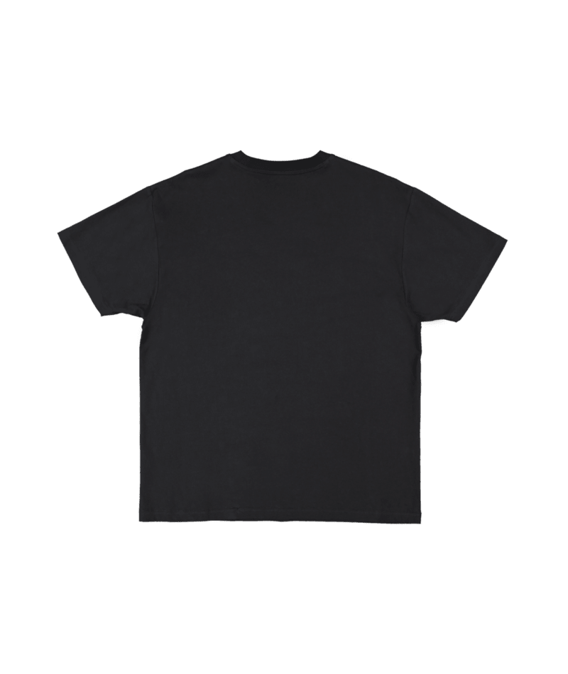 VOLCOM STONE LSE SST
