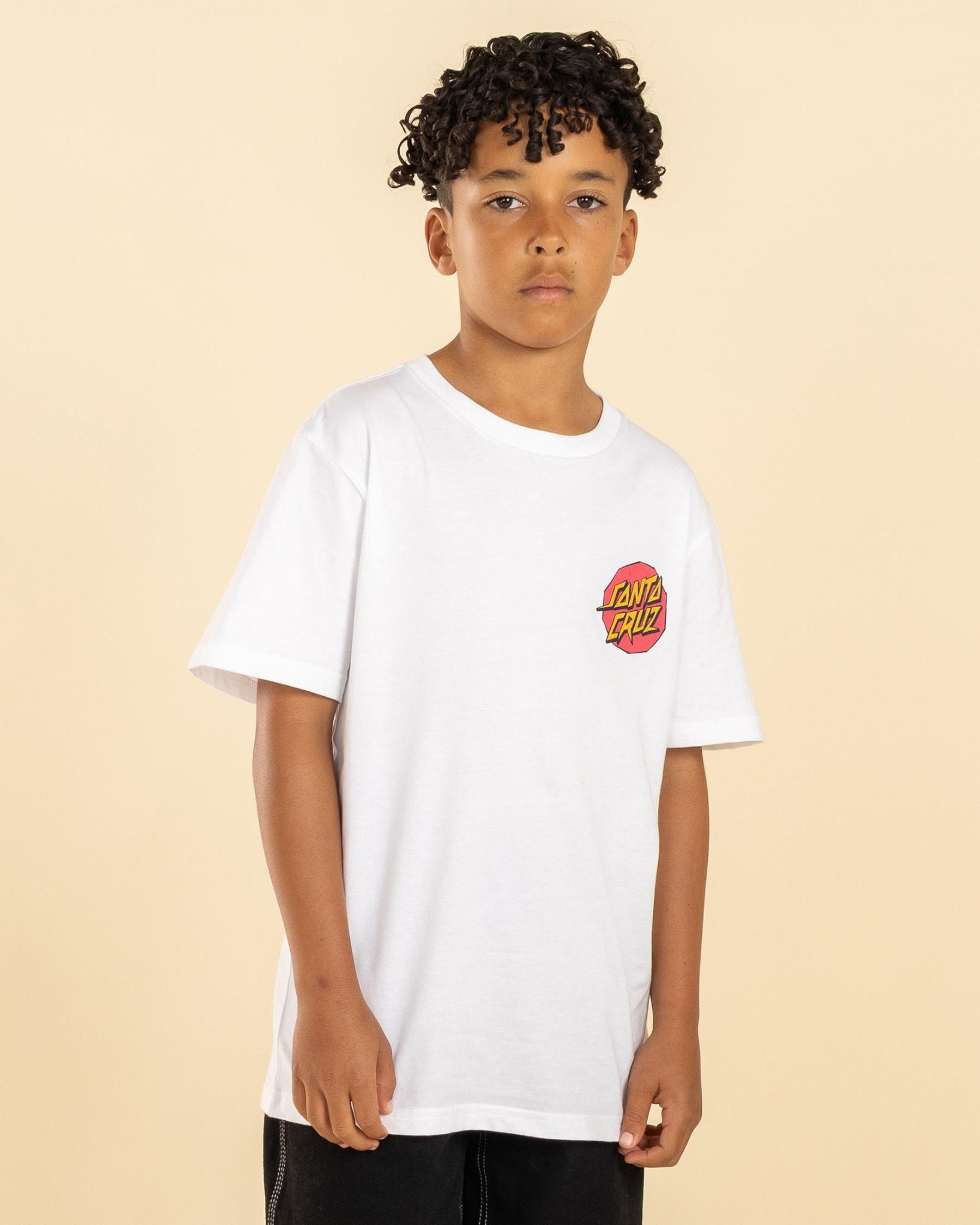 MEEK SCRATCHED SLASHER TEE - Santa CruzSB225-SS04-WHITE-8