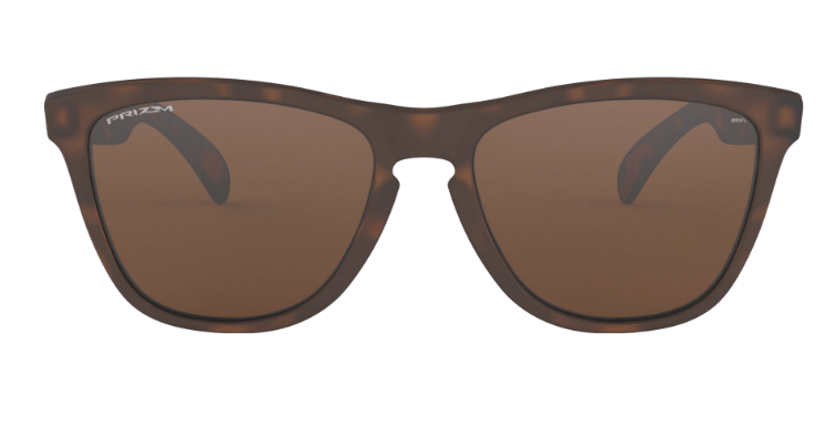 Oakley Frogskins - OakleyOO9013 - C555