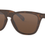 Oakley Frogskins - OakleyOO9013 - C555