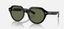 Ray - Ban Gina - Ray Ban0RN4399