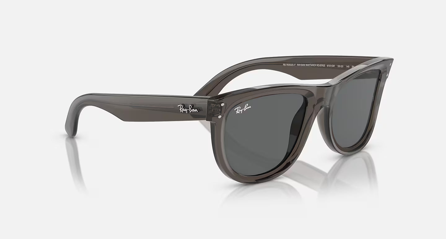 Wayfarer Reverse