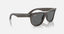 Wayfarer Reverse