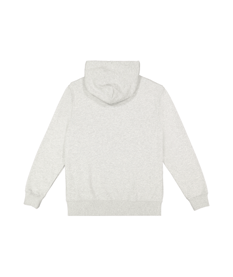 SALT WATER HOODIE - Quiksilver25A311678-LIGHT GREY HEATHER-XS