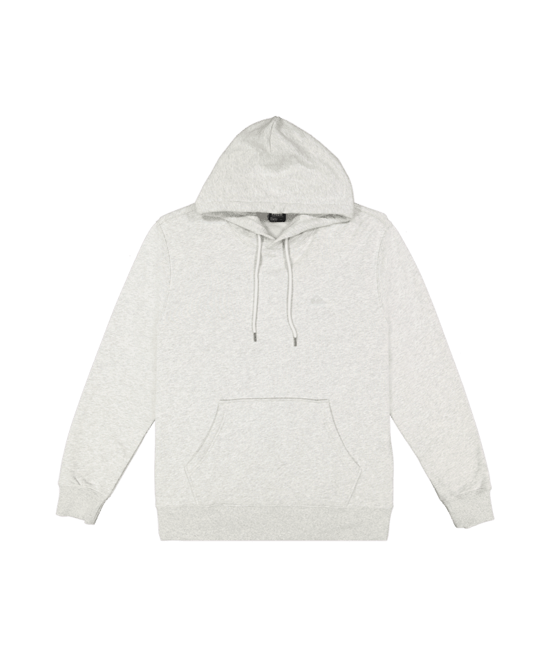 SALT WATER HOODIE - Quiksilver25A311678-LIGHT GREY HEATHER-XS