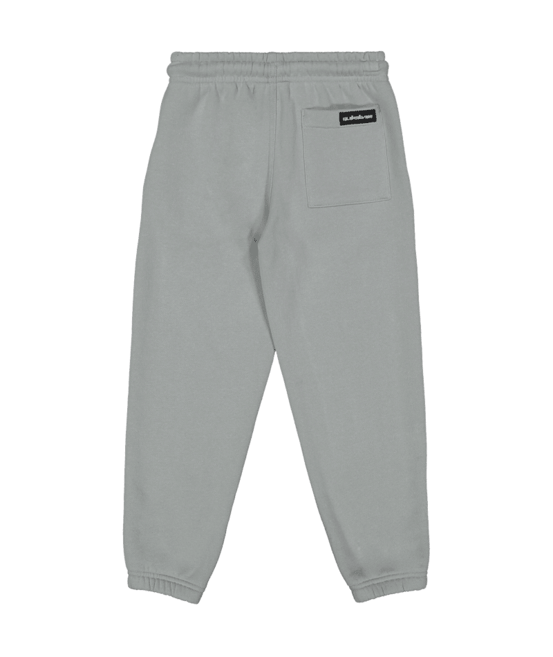 SCREEN TRACKPANT BOY - Quiksilver25Y121670-QUARRY-2