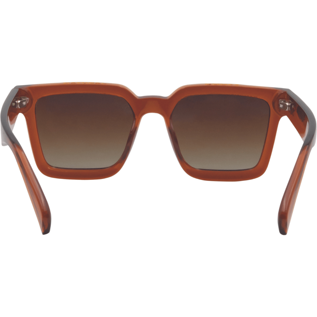 Sin Topshelf - Sin12140 - 04 - Brown Brown - 1SZ