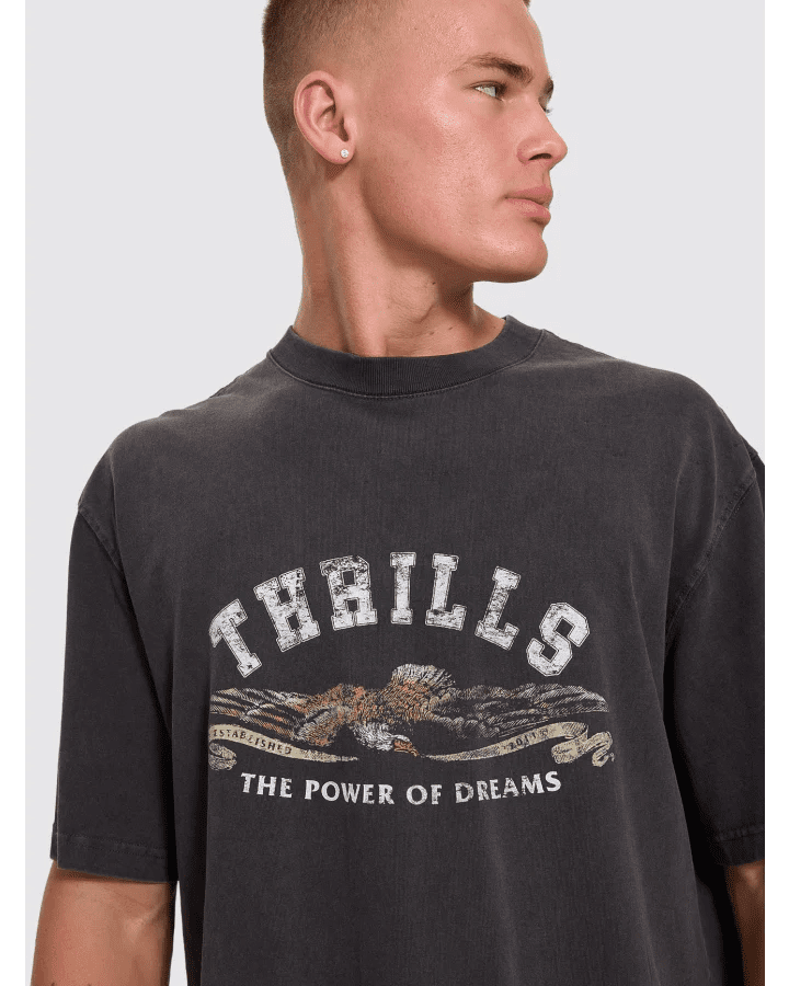 The Power Of Dreams Oversize Box Crop Tee -ThrillsTH26-175G-Temple Grey-S