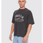 The Power Of Dreams Oversize Box Crop Tee -ThrillsTH26-175G-Temple Grey-S