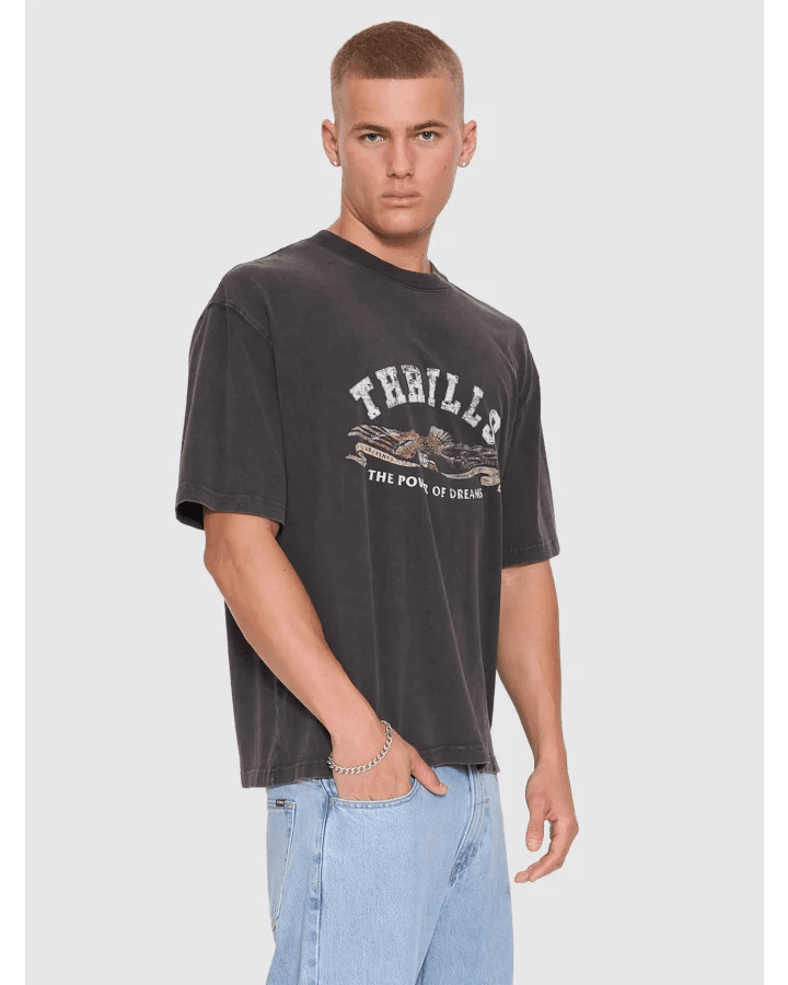 The Power Of Dreams Oversize Box Crop Tee -ThrillsTH26-175G-Temple Grey-S