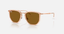 Transparent/Beige w/Brown - Ray Ban0RB4451 - TRANSPARENT BEIGE BROWN