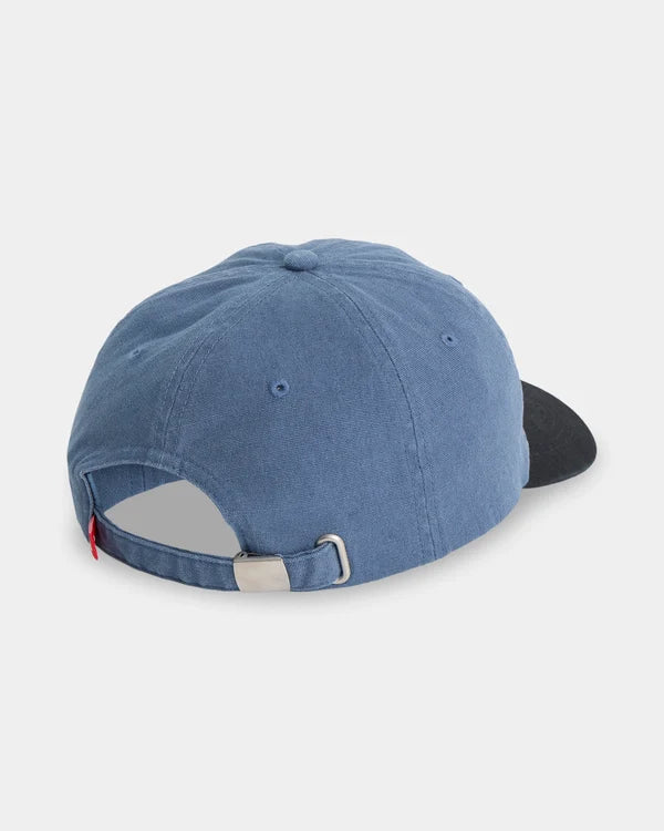 IMPAIRED 6 PANEL