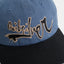 IMPAIRED 6 PANEL
