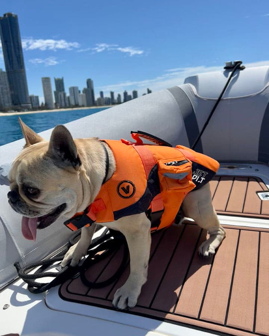 VENTURE DOG PFD