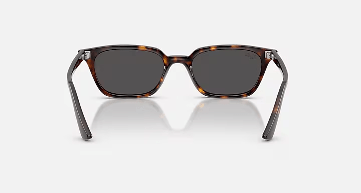 Zaya Havana W/Dark Grey - Ray Ban0RB4456 - HAVANA DARK GREY