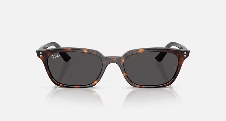 Zaya Havana W/Dark Grey - Ray Ban0RB4456 - HAVANA DARK GREY