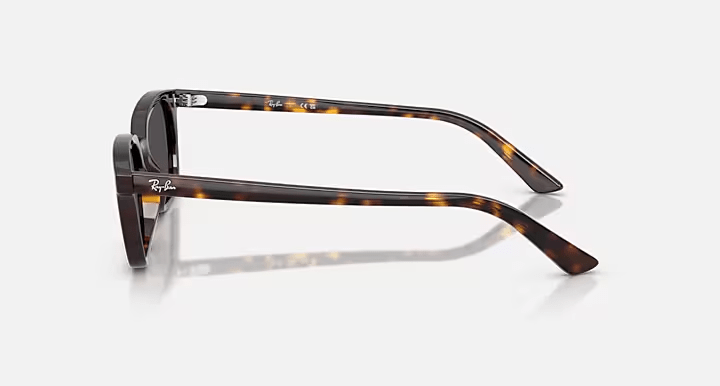 Zaya Havana W/Dark Grey - Ray Ban0RB4456 - HAVANA DARK GREY