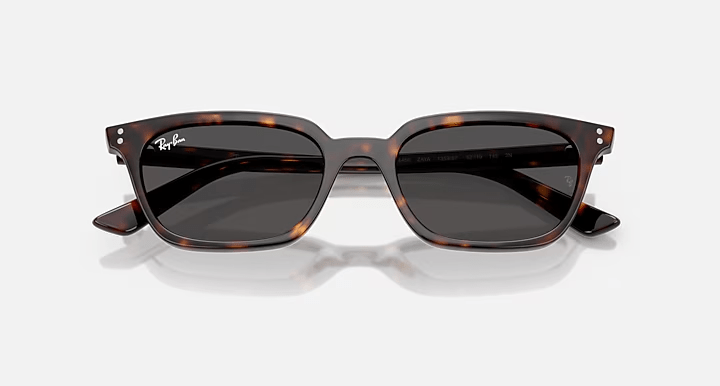 Zaya Havana W/Dark Grey - Ray Ban0RB4456 - HAVANA DARK GREY
