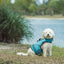 2024 Radar Dog Vest -Radar244490-Blue-XXS