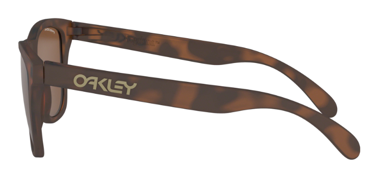 Oakley Frogskins